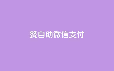 Ks赞自助微信支付 - 微信卡盟 第1张 Ks赞自助微信支付 - 微信卡盟 第1张