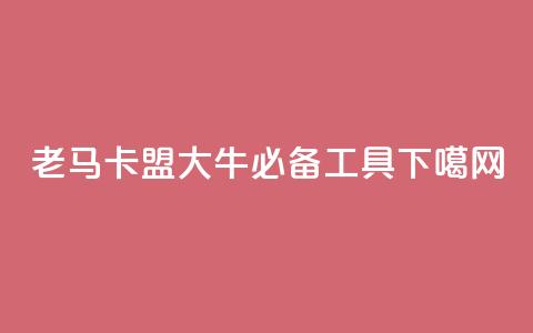 老马卡盟：SEO大牛必备工具。 第1张