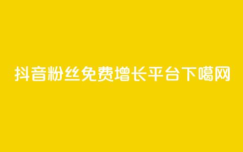 抖音粉丝免费增长平台 第1张 抖音粉丝免费增长平台 第1张