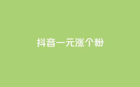 抖音一元涨1个粉,快手抖音点赞员接单软件 - 抖音粉丝渠道 QQ空间刷访客量的网站 第1张 抖音一元涨1个粉,快手抖音点赞员接单软件 - 抖音粉丝渠道 QQ空间刷访客量的网站 第1张
