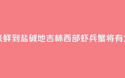 （乡村行·看振兴）“鲜	”到盐碱地 吉林西部“虾兵蟹将”有大作为 第1张