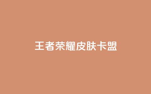 王者荣耀皮肤卡盟 - 王者荣耀新手皮肤购买攻略与推荐! 第1张 王者荣耀皮肤卡盟 - 王者荣耀新手皮肤购买攻略与推荐! 第1张