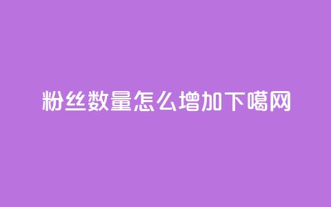 粉丝数量怎么增加 第1张 粉丝数量怎么增加 第1张