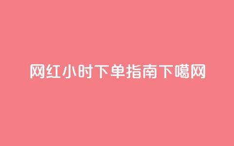 网红24小时下单指南 第1张 网红24小时下单指南 第1张