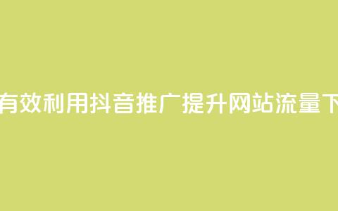 如何有效利用抖音推广提升网站流量 第1张 如何有效利用抖音推广提升网站流量 第1张