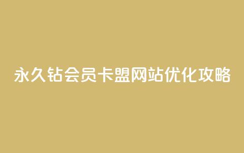 永久钻会员卡盟网站优化攻略 第1张 永久钻会员卡盟网站优化攻略 第1张