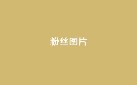 粉丝图片,快手一个作品1000赞 - qq访客每天免费获取软件 ks直播平台正规吗 第1张 粉丝图片,快手一个作品1000赞 - qq访客每天免费获取软件 ks直播平台正规吗 第1张