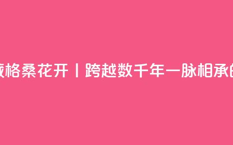 寻觅西藏 格桑花开丨跨越数千年一脉相承的藏医药 第1张 寻觅西藏 格桑花开丨跨越数千年一脉相承的藏医药 第1张
