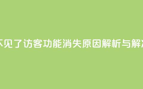 qq访客怎么看不见了 - QQ访客功能消失原因解析与解决方案~ 第1张 qq访客怎么看不见了 - QQ访客功能消失原因解析与解决方案~ 第1张