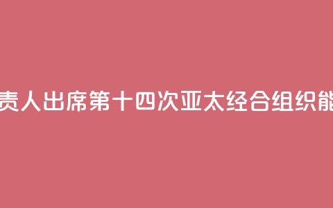 中国国家能源局负责人出席第十四次亚太经合组织能源部长会议 第1张 中国国家能源局负责人出席第十四次亚太经合组织能源部长会议 第1张