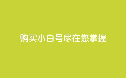 购买DY小白号,尽在您掌握! 第1张 购买DY小白号,尽在您掌握! 第1张