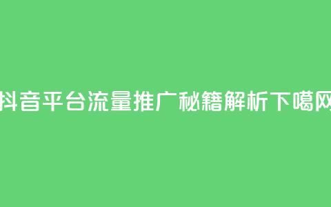 抖音平台流量推广秘籍解析 第1张 抖音平台流量推广秘籍解析 第1张