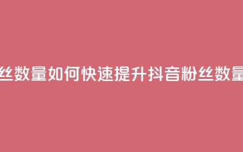 抖音怎么涨有效粉丝数量 - 如何快速提升抖音粉丝数量的有效方法~ 第1张 抖音怎么涨有效粉丝数量 - 如何快速提升抖音粉丝数量的有效方法~ 第1张