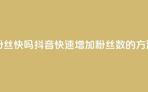 抖音涨粉丝快吗 - 抖音快速增加粉丝数的方法! 第1张 抖音涨粉丝快吗 - 抖音快速增加粉丝数的方法! 第1张