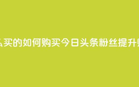 今日头条粉丝怎么买的 - 如何购买今日头条粉丝提升账号影响力! 第1张 今日头条粉丝怎么买的 - 如何购买今日头条粉丝提升账号影响力! 第1张