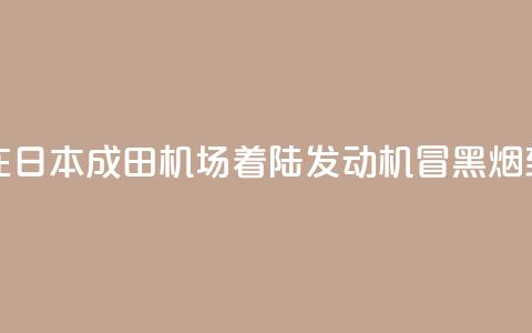 新航波音客机在日本成田机场着陆 发动机冒黑烟致跑道一度关闭 第1张 新航波音客机在日本成田机场着陆 发动机冒黑烟致跑道一度关闭 第1张