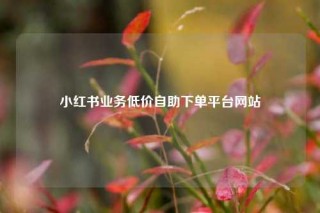 小红书业务低价自助下单平台网站