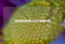 商务部回应稀土出口管制问题