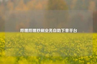 哔哩哔哩秒刷业务自助下单平台