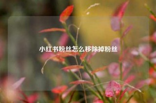 小红书粉丝怎么移除掉粉丝