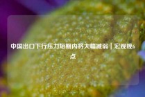 中国出口下行压力短期内将大幅减弱｜宏观晚6点