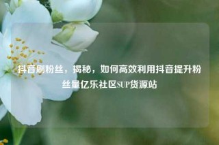 抖音刷粉丝，揭秘，如何高效利用抖音提升粉丝量亿乐社区SUP货源站