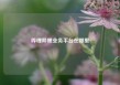 哔哩哔哩业务平台在哪里