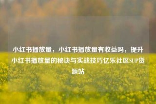 小红书播放量，小红书播放量有收益吗，提升小红书播放量的秘诀与实战技巧亿乐社区SUP货源站