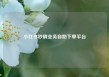 小红书秒刷业务自助下单平台