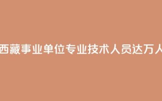 西藏事业单位专业技术人员达11.6万人
