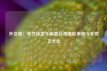 外交部：中方决定不同意台湾地区参加今年世卫大会