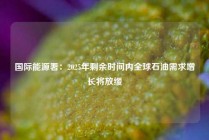 国际能源署：2025年剩余时间内全球石油需求增长将放缓