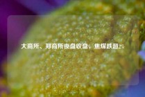 大商所、郑商所夜盘收盘，焦煤跌超2%