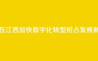台商在江西：加快数字化转型 抢占发展新赛道