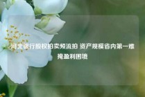 河北银行股权拍卖频流拍 资产规模省内第一难掩盈利困境