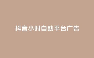 抖音24小时自助平台广告 - 卡密货源网