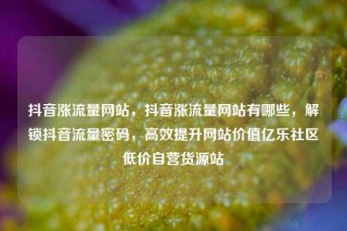 抖音涨流量网站，抖音涨流量网站有哪些，解锁抖音流量密码，高效提升网站价值亿乐社区低价自营货源站