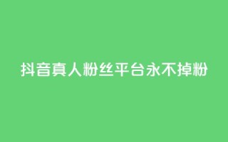 抖音真人粉丝平台 永不掉粉 - 抖音真人粉丝长期稳定平台！