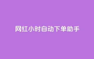 网红24小时自动下单助手 - qq自助平台全网最低