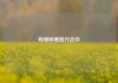 哔哩哔哩官方合作