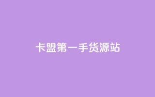 卡盟第一手货源站 - 发卡平台
