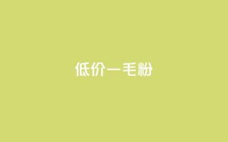 低价Ks一毛1000粉 - 超值Ks优惠 1000粉仅需一毛~