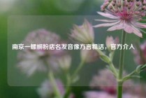 南京一螺蛳粉店名发音像方言粗话，官方介入