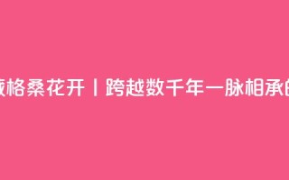 寻觅西藏 格桑花开丨跨越数千年一脉相承的藏医药