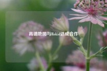 高德地图与Rokid达成合作