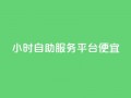 ks24小时自助服务平台便宜,qq空间说说赞真人点赞在线 - 快手10万粉丝能挣钱吗 - 黑科技软件资源库