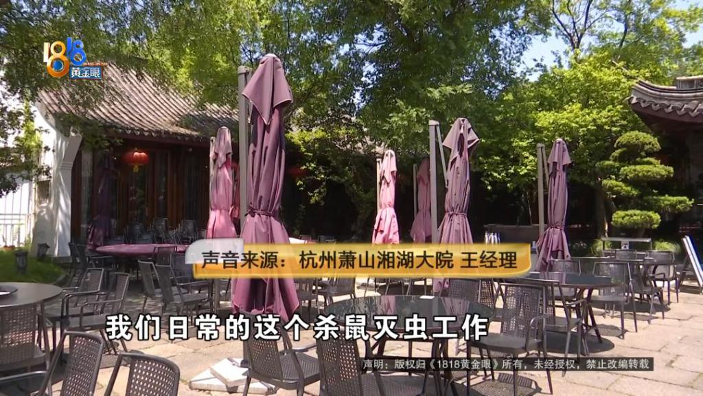 吃完饭一出包厢被大老鼠吓坏了,当事人:退一赔十 第8张 吃完饭一出包厢被大老鼠吓坏了,当事人:退一赔十 第8张