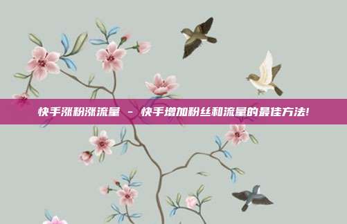 快手涨粉涨流量 - 快手增加粉丝和流量的最佳方法!  第1张