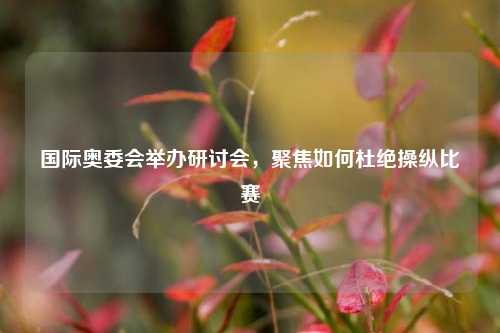 国际奥委会举办研讨会，聚焦如何杜绝操纵比赛  第1张