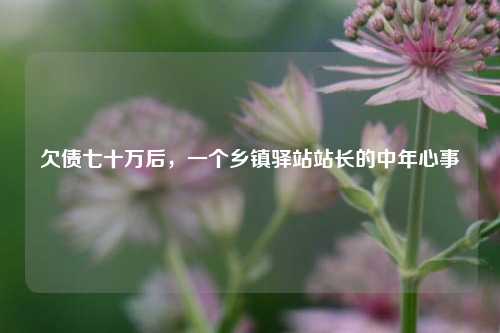 欠债七十万后	，一个乡镇驿站站长的中年心事  第1张